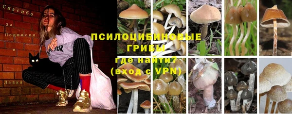 mdpv Верхнеуральск